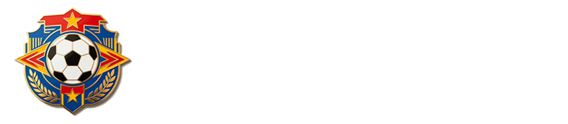 世界杯直播